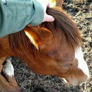 Meet your Posher, Josh